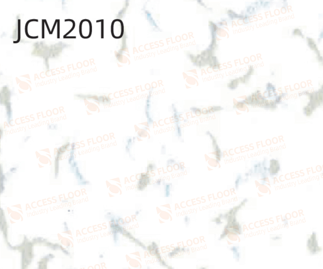 JCM2010